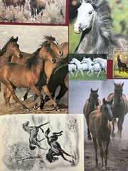 HORSES Curated playing cards & book pages kit Some Vintage 45 Pieces – original