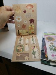 Scrapbooking Cardmaking Stickers Crafts Space Vellum Rub On Dimensional 10 Pks