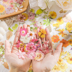 Pressed Flower Stickers Set, 270PCS Dried Flowers Waterproof Stickers Decals Flo