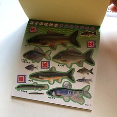FISH Japanese Stickers book 274 stickers Shogakkan NEO Book Series