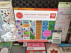 HUGE SCRAPBOOK LOT~Mixed Themes~Paper-Folder-Stamps-Dies-Stickers & More~NEW