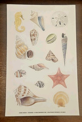 Vintage Current Catalog SEASIDE sticker sheet, Seashell stickers