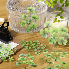 Botanical Leaf PET Stickers Set, 120PCS Transparent Plant Ephemera for Scrapbook