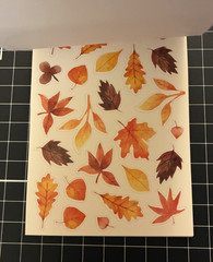 Recollections Halloween LOT Autumn Fall Pumpkins Forest Animals Coffee STICKERS