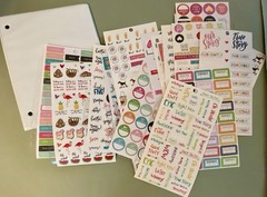 HUGE Lot of Happy Planner Stickers Over 140 Pages Of Stickers & 2 Binders