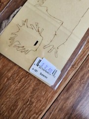 Scarecrow Fall Die Cut Laser Cut New – Deluxe Cuts Scrapbooking – Retired #17