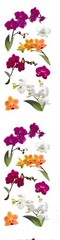 2413E – STICKER – ORCHID 1 pack with min 6 to 18+ stickers