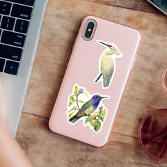 50Pcs Vintage Watercolor Bird Stickers – Aesthetic Nature Wildlife Stickers for
