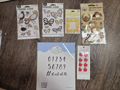 3D Stickers Scrapbook Crafting Lot Prima Little B K&Company Elizabeth Craft Lot