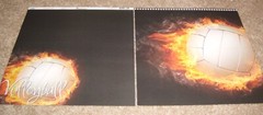 Reminisce Design 12×12 Dbl. Sided Scrapbk. Paper Lot of 10 ~ Sports…Volleyball