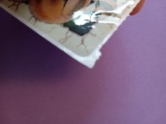 vintage 90’s Smilemakers Triceratops dinosaur sticker module *damaged*