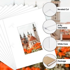 , 10 Pack Acid Free 8X10 White Picture Frame Mats with White Core Bevel Cut f…
