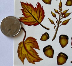 FALL LEAVES & CHESTNUT￼ Sticker(18pc)Stickabilitie•Chestnut •Autumn•Tree•Falling