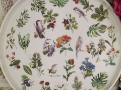 60pcs/Pack flower birds animal floral plant botanical Themed , washi paper stick