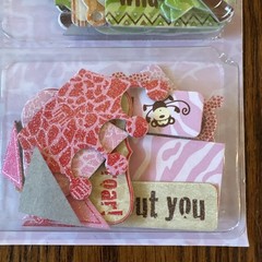 NEW DCWV~Safari Kids Chipboard Embellishments, 39 shapes w/glitter Crown & More