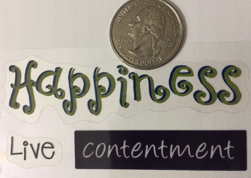 HAPPINESS Phrase Cafe Sticker (16pc)Sticko•In Bloom•Take Time•Love •Expressions•