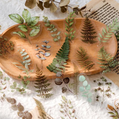 Nature Floral Plant Stickers Set – 320 Pieces Transparent Pressed Flower Decals