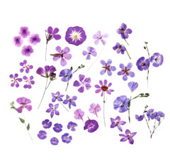40 pcs Purple Stickers Flower Leaves Sprigs Clear Edge Scrapbooking Card Making