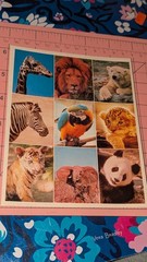 Vintage Gibson Stickers Animals Flying Polar Bear Giraffe Panda 1 Sheet READ