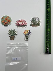 Multiuse Vinyl Sticker Lot of 5 Asstd Colors & Sizes – Flora Fauna Flower Plant