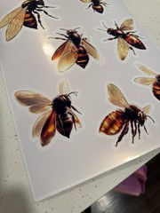 Glossy Metallic Bee Stickers – Cyber Bees – 8 Piece Set – Ranging 2-4inch