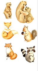 Woodland Animal Sticker Sheet Watercolor Bear Fox Raccoon Squirrel Vinyl Decals