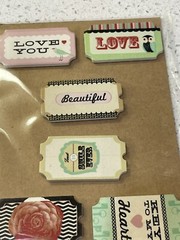 Michael’s Scrapbook Embellishments