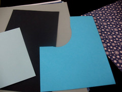 Lot Photo Mounting Paper, Tropical combo packs-a 10×12 and a Great Length