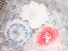 PRETTY Mix – 3 Flowers PINK WHITE & BLUE 80-85mm Manor House ConA