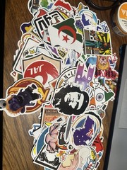 Mystery Sticker 10 Piece Random Vinyl Decal Laptop Water Bottle Skateboard