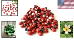 Enchanting 100 Mini Ladybug Stickers – Wooden, Self-Adhesive Garden Accents