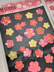 Japanese Style Washi Stickers Set of 4 Sakura Plum Daiso Japan Cute Stationery