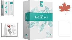 Vellum Bristol Cardstock – Lightweight, 325 Sheets, 67 lb – Fast Drying – Sheets