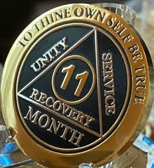 11 Month AA Medallion Elegant Black Gold Silver Plated Sobriety Recovery Chip
