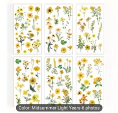 5 PACKS 175+ Pc Bundle Junk Journal Ephemera Stickers Scrapbook Card Tag Making