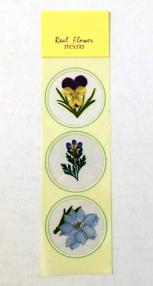 Real Flowers Scrapbook Stickers Floral Yellow Purple Blue Green #7