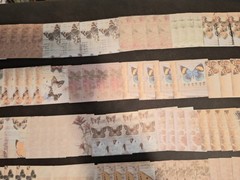 100pc The Language Of Natural. 3 1/4 X 3 1/4 Scrapbook Papers Very Pretty