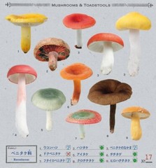 Japanese Mushrooms Stickers book 238 Stickers Shogakkan NEO Shiitake Shimeji