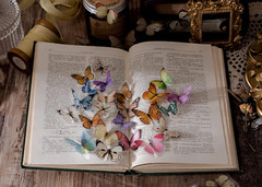 Butterfly Stickers Set (320 Pieces) Transparent Colorful Butterflies Resin Stick
