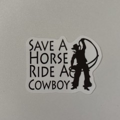 10 STICKERS WESTERN COWBOYS Journal Planner Notebook SCRAPBOOK WSIPDN