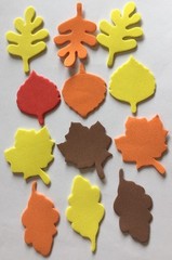 FALL FOAM LEAVES(12pc)Autumn Thanksgiving•Maple•Tree•Brown•Red •Orange•Yellow•••