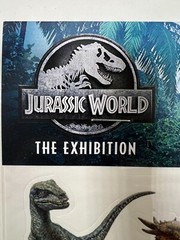 JURASSIC WORLD JURASSIC PARK Realistic Dino Sticker 4 Pack buy more and save $$