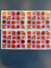 Vintage Stickers Flowers & Cats 17 Packets Multiple Sheets Per Pack New