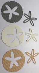 LG. SAND DOLLAR Die-Cuts(6pc)Beach •Shells•Ocean•Star•Sea•Shore•Sand Creatures