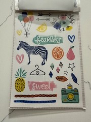 American Craft Amy Tangerine Grab Bag Die Cuts Cardstock Stickers Scrapbooking