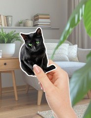 Black Cat Green Eyes Die Cut Vinyl Stickers Set Scrapbooking Laptop Water Bottle