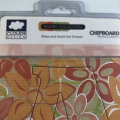 Fiskars Alphabet Chipboard Monogram RELAX FLORAL Pattern 3.5″ Cloud 9 Design