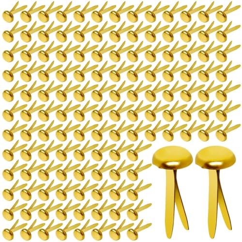 300 Pcs Brass Paper Fasteners 3/4 Inch Metal Brads for Crafts DIY Office