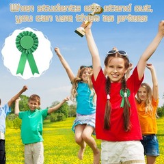 12 PCS Green Blank Award Ribbon Prize 1st Place Rosette Medal Recognition