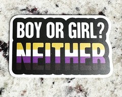 LOT of 500pc PRIDE MIX Stickers, LGTBQ Rainbow, Lesbian,Trans, Non binary